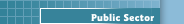 Public Sector