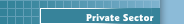Private Sector